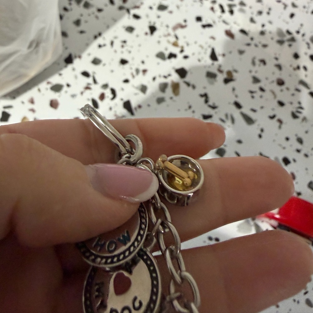 Silver Dog Charm Keychain - Picture 4 of 6